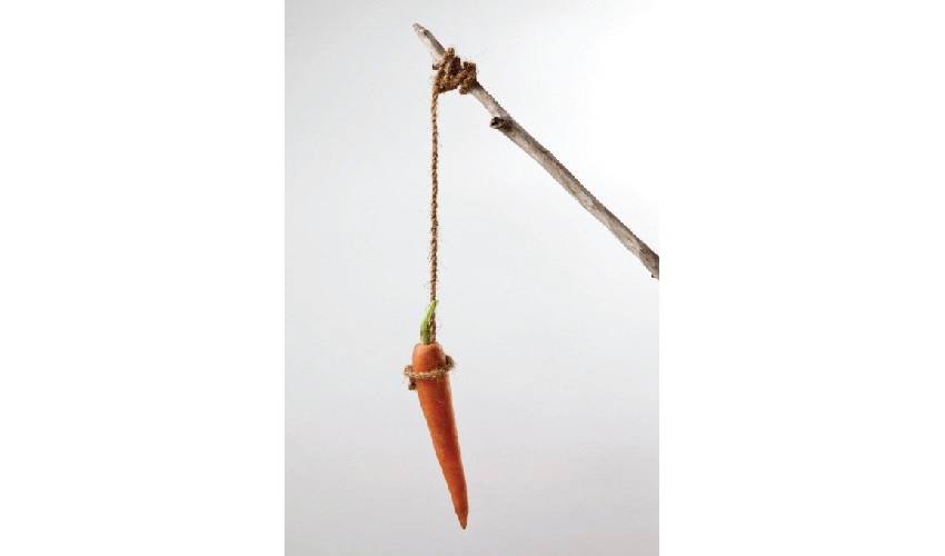 carrot and stick - Tax Saver’s Credit
