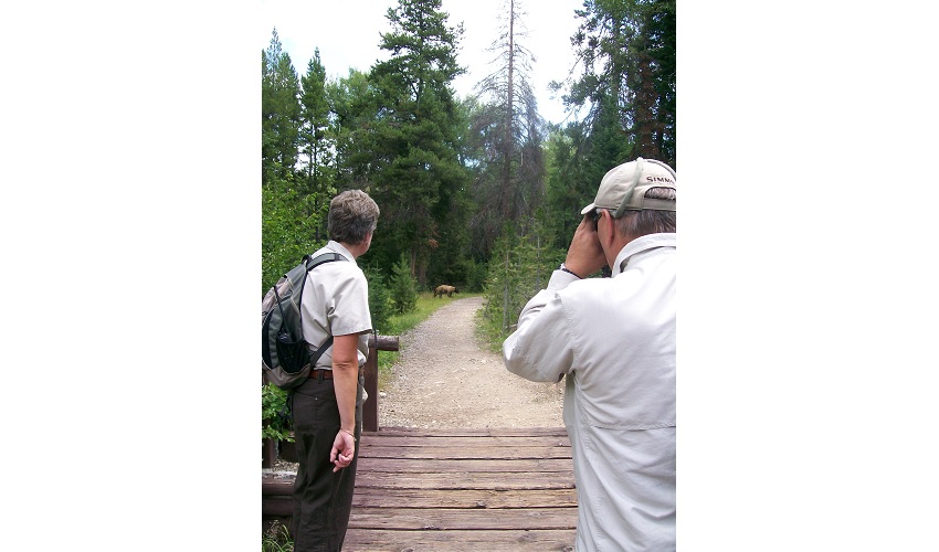 Plan Sponsor walking on road in the woods
