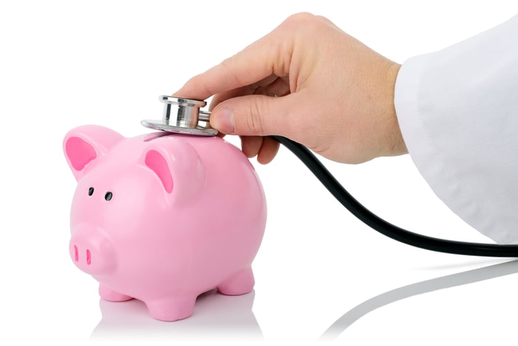 financial check on a piggy bank
