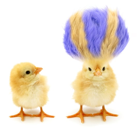 Two chicks, one crazy with crazy hair